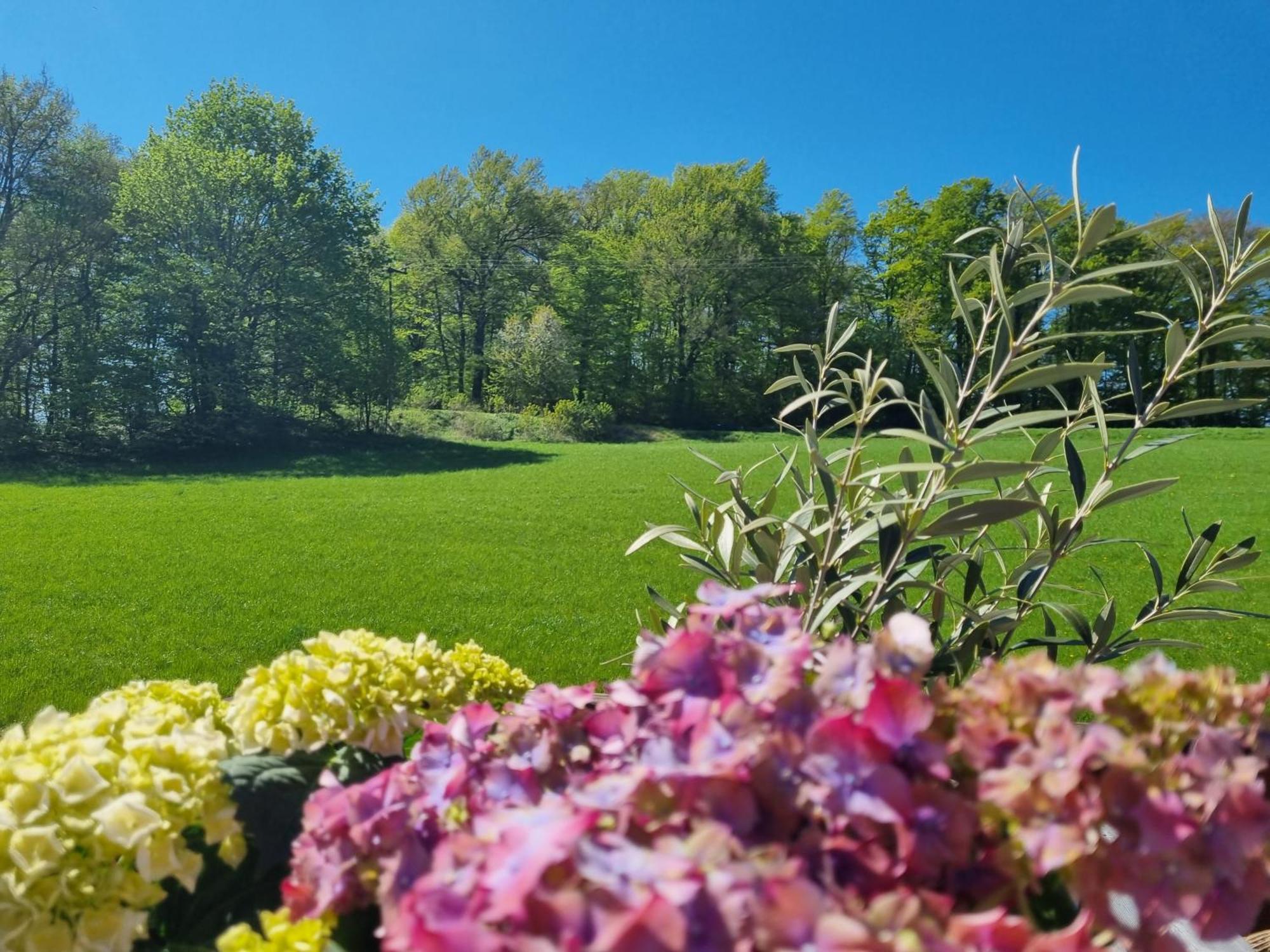 Talblick- Boutique B&b-pension-gaestehaus (adults Only)