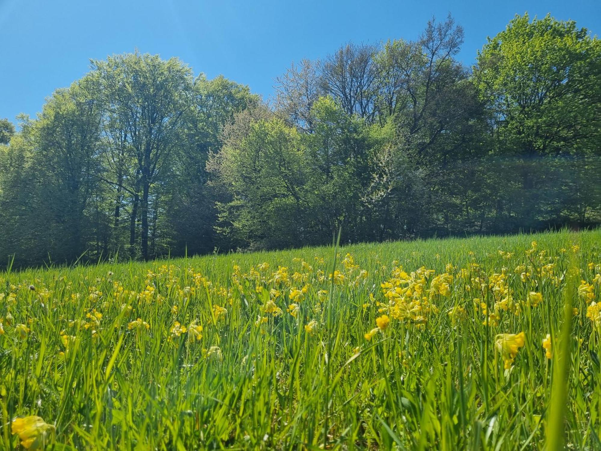 Talblick- Boutique B&b-pension-gaestehaus (adults Only) Hotel Brotterode