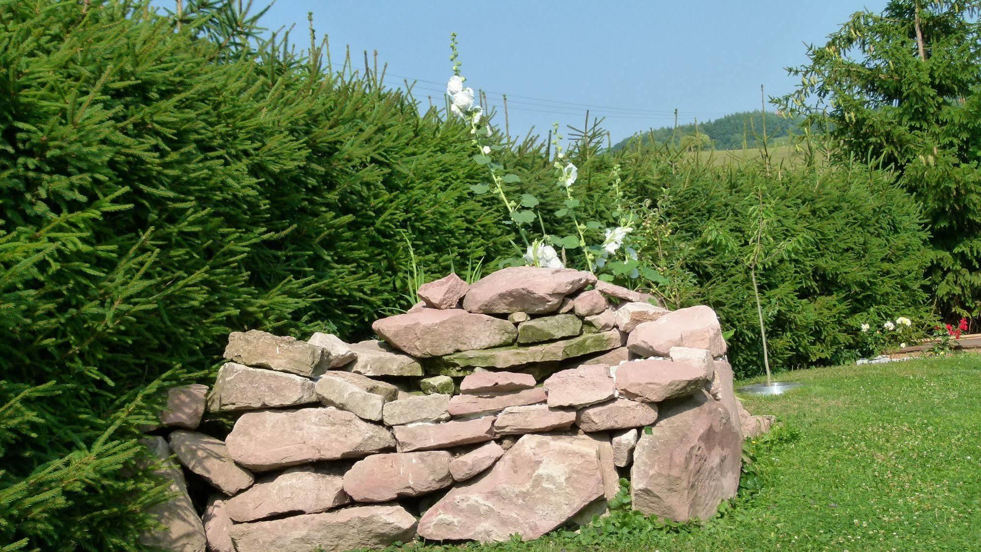 Talblick- Boutique B&b-pension-gaestehaus (adults Only) Hotel Brotterode